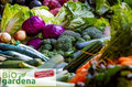 BIO GARDENA nawozy organiczne BIO sklep nawozy organiczne do warzyw biogardena.jpg
